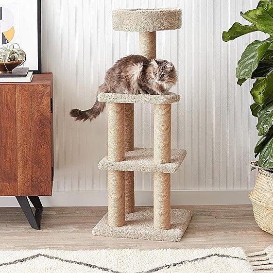 Estos rascadores grandes para gatos harán las delicias de tu minimo a todas horas