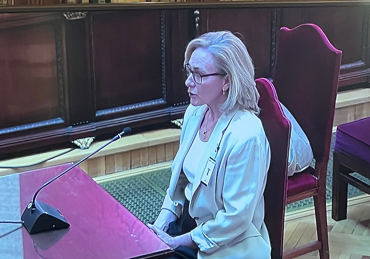 The former secretary of Ábalos reveals that De Aldama participated in the ministry in “official” meetings with the CEO of Air Europa