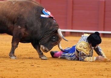 Morante de la Puebla olumlu yönde gelişiyor