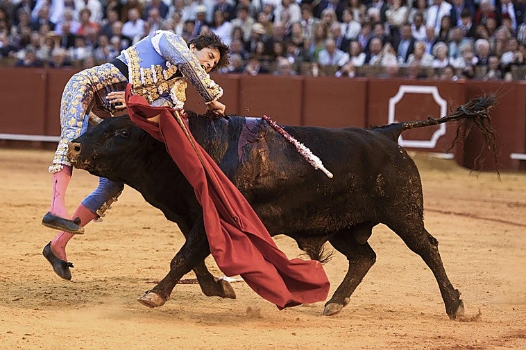 Roca Rey, corneado en la Feria de Sevilla