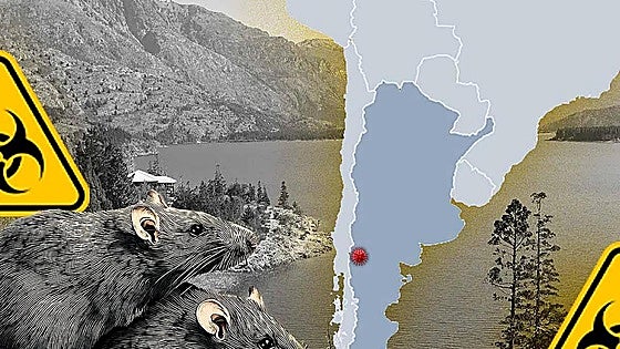El caso del cumpleaños, el velatorio y los 11 muertos por hantavirus