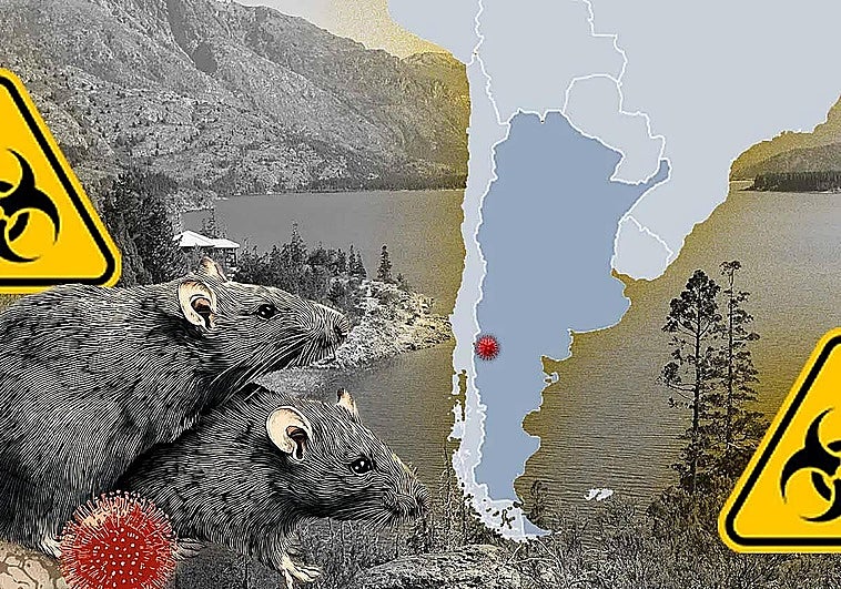 El caso del cumpleaños, el velatorio y los 11 muertos por hantavirus