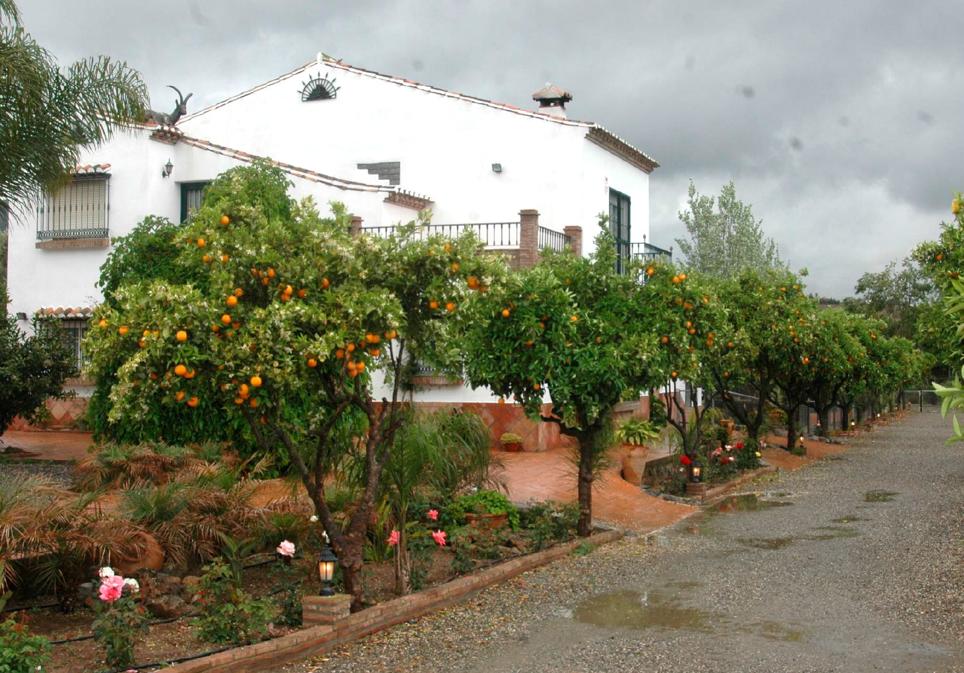 La Finca de los Naranjos, en Alhaurín de la Torre.