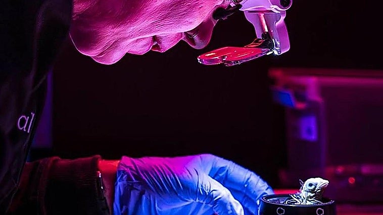 La empresa que «desextingue» especies dice haber creado un huevo artificial para revivir aves desaparecidas