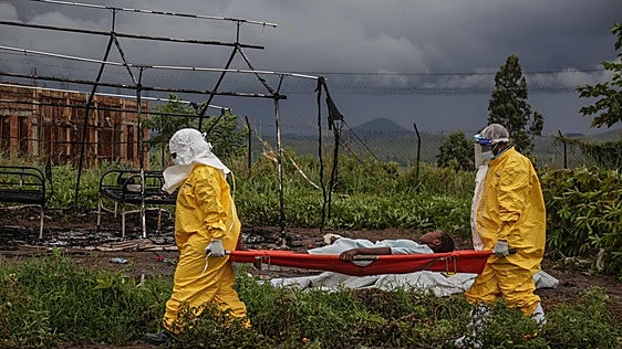El hantavirus y el ébola vuelven a poner en el foco el potencial pandémico de las zoonosis