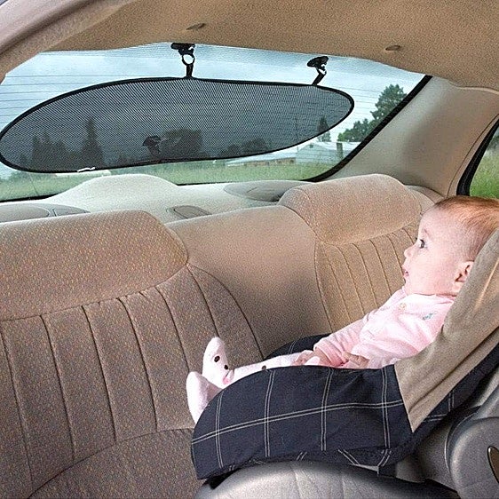 Estos parasoles para coche bloquean el sol y mantienen la tapicería intacta
