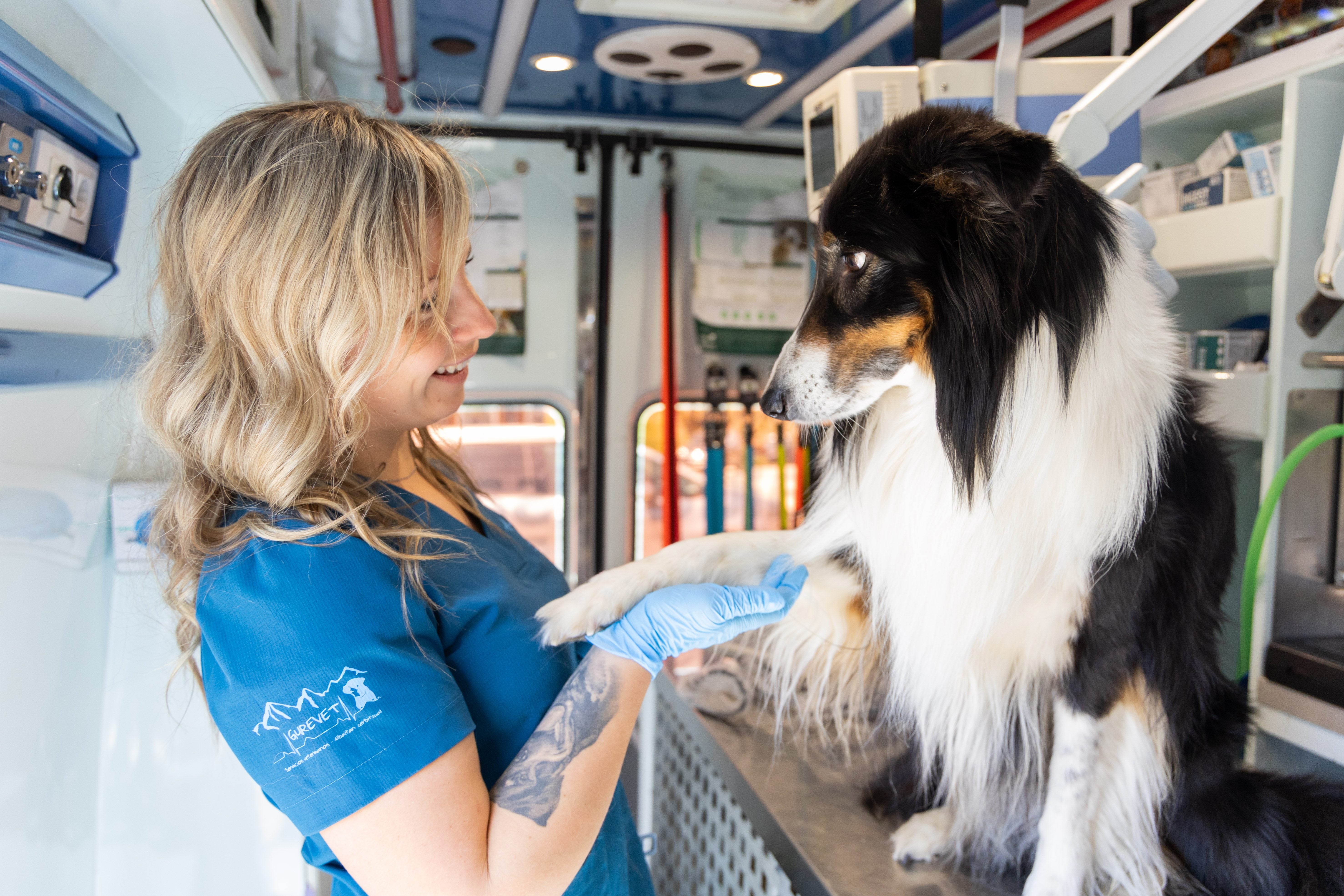 La veterinaria que lleva la atención donde otros no llegan