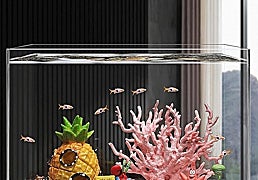 Los mejores objetos para decorar acuarios y crear escenas submarinas