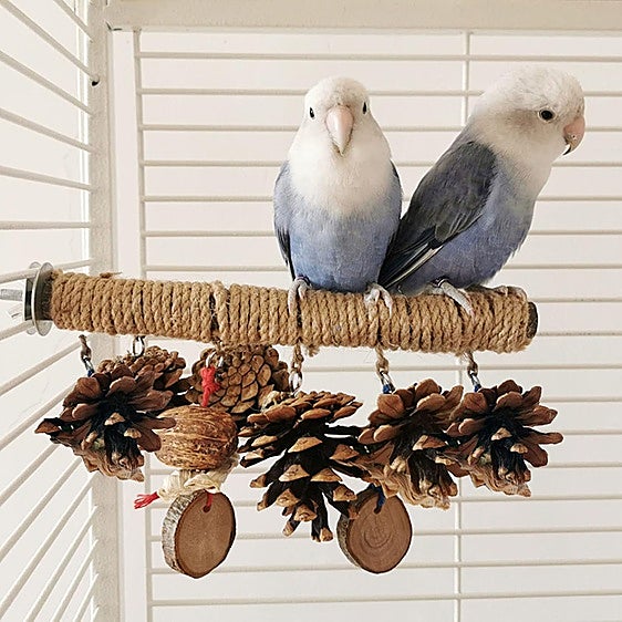 No te pierdas estos juguetes para loros, cacatúas y toda clase de pájaros