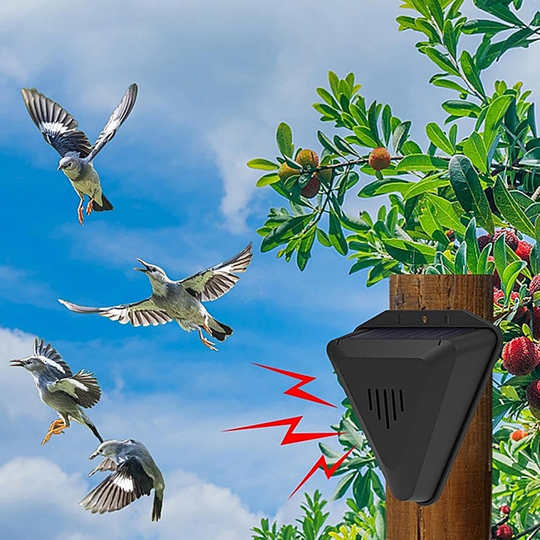 Tu jardín y huerto estarán a salvo con estos ahuyentadores ultrasonidos de aves, ratones y otros animales