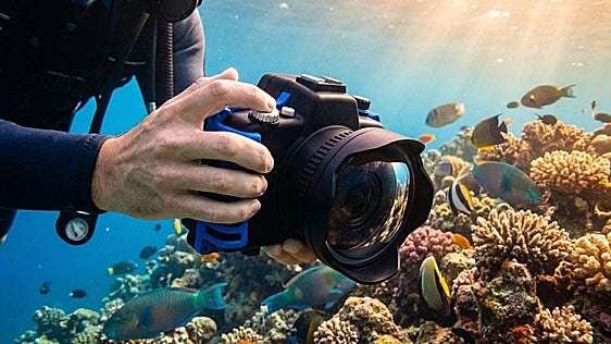 Si te gusta el buceo y los deportes acuáticos, atención a estas cámaras subacuáticas