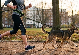 Las mejores correas manos libres para pasear y correr con tu perro libremente