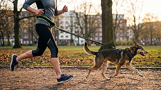 Las mejores correas manos libres para correr con tu perro libremente