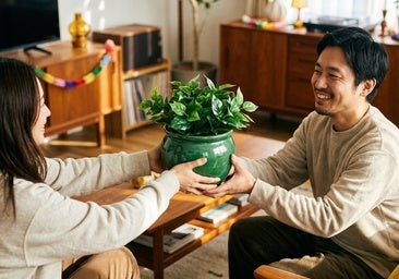 Las mejores macetas con plantas artificiales para regalar que parecen de verdad