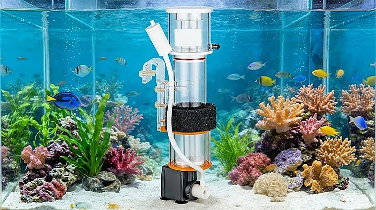 Los mejores skimmers y equipamiento para acuarios marinos y de arrecife