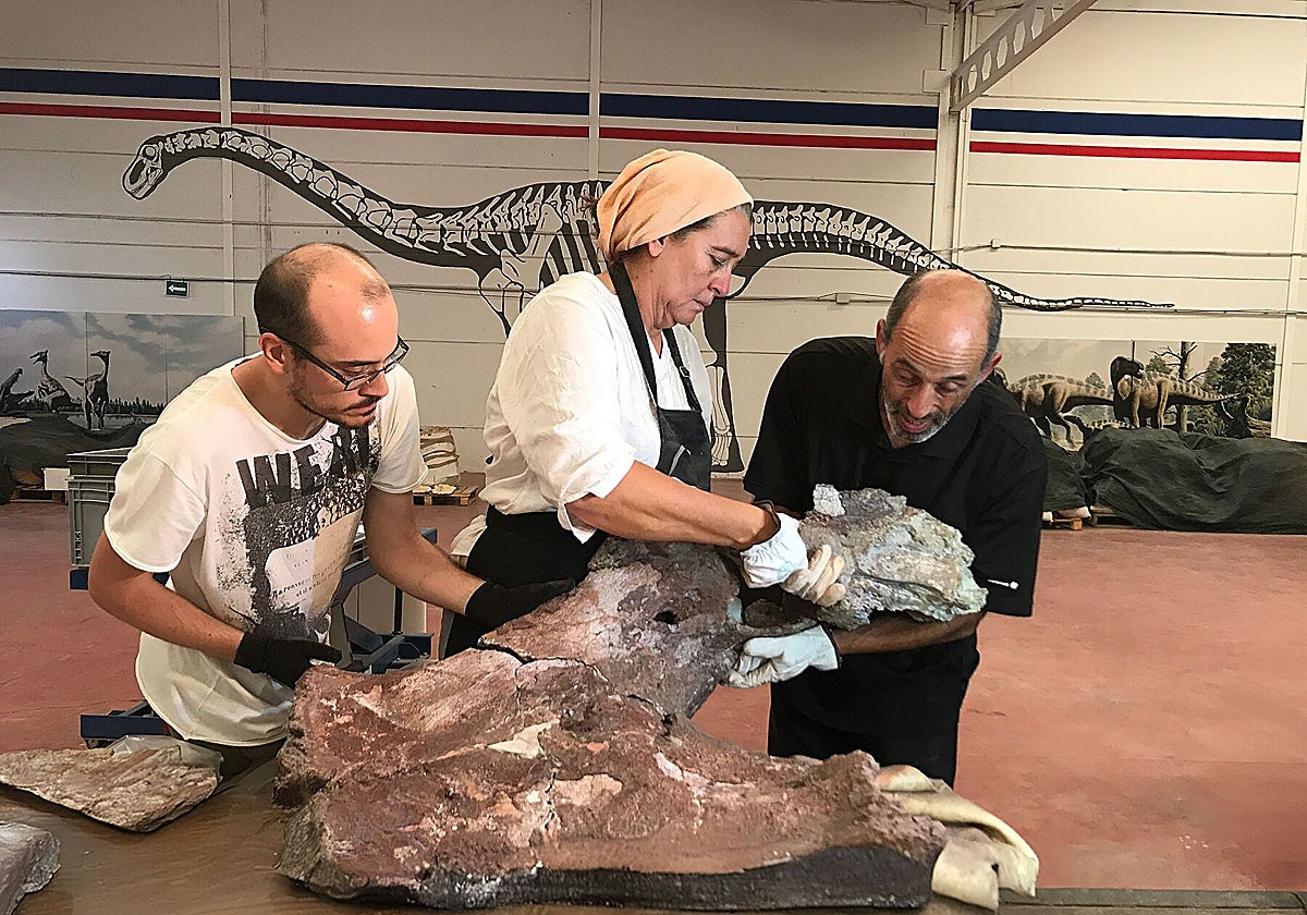 ¿Por qué no había dinosaurios en el Arca de Noé?