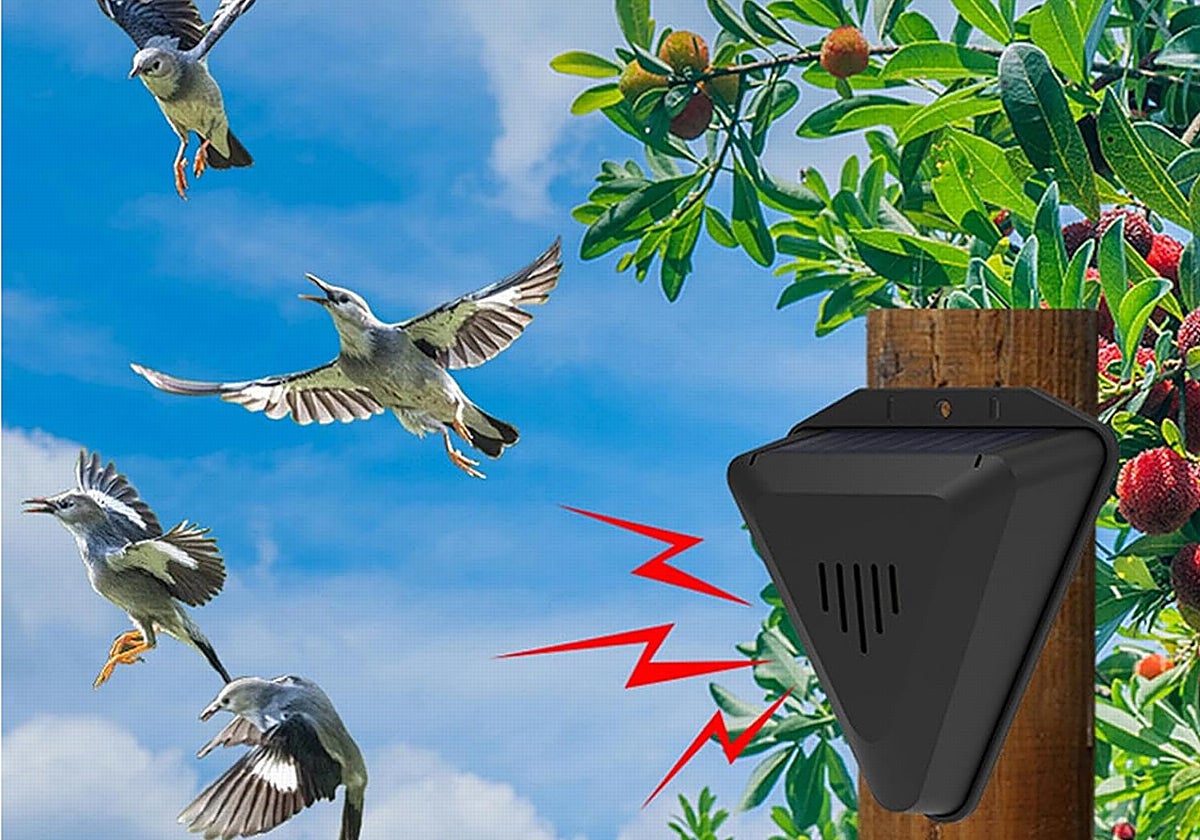 Tu jardín y huerto estarán a salvo con estos ahuyentadores ultrasonidos de aves, ratones y otros animales