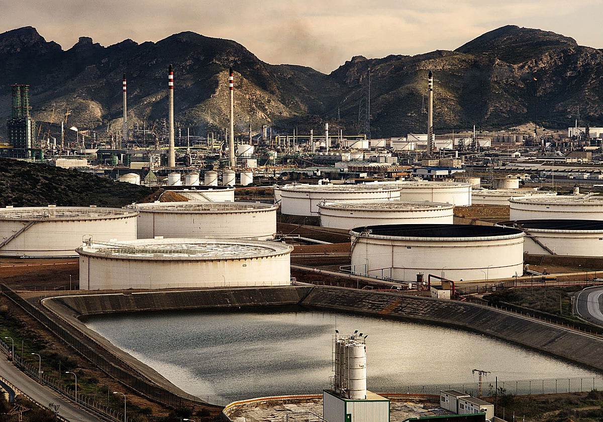 Depósitos de petróleo asignados a la reserva nacional.