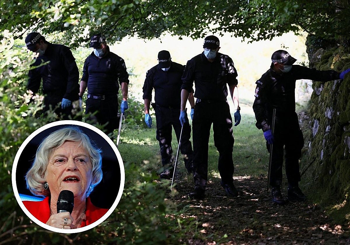 Ann Widdecombe fue una fuerte defensora del Brexit desde los inicios del debate.