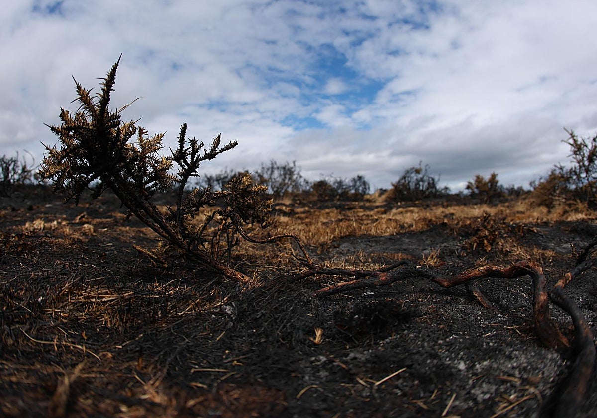 Europa arde por los cuatro costados
