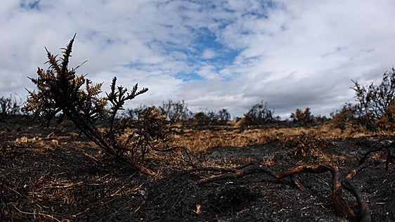 Europa arde por los cuatro costados