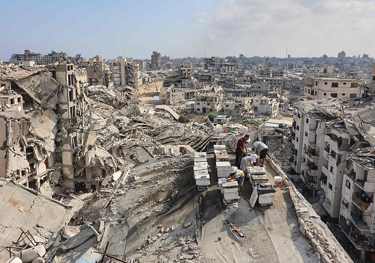 Al menos el 80% de los edificios de Gaza resultaron dañados o destruidos durante la guerra.