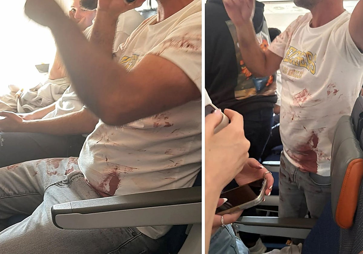 Miedo en Israel a un gran atentado después de que un piloto de avión apuñalara a otro en pleno vuelo