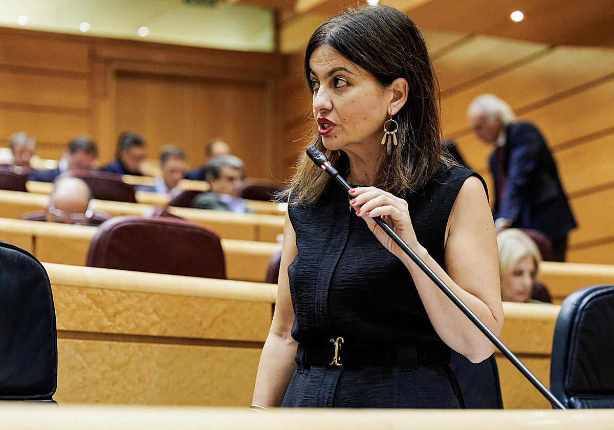 Rego asegura que la mayoría de los jóvenes marroquíes permanecerán en España: «La mayoría quiere quedarse y se va a quedar»