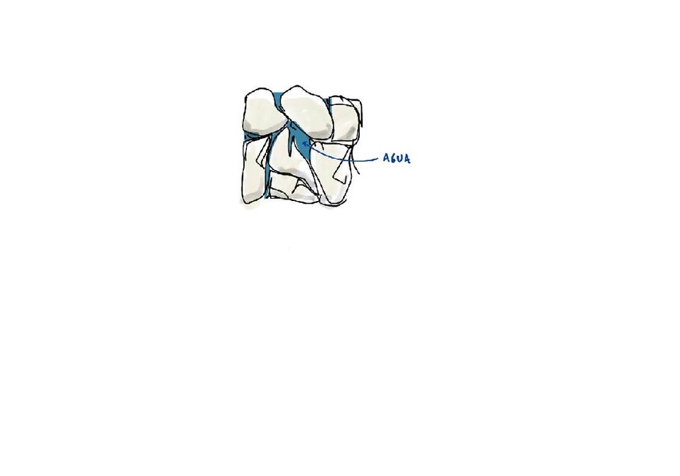 Scroll Story imagen 0