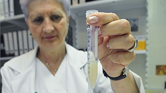 Por qué la calidad del semen de los hombres del norte duplica a la de los del sur