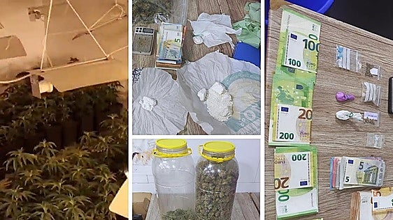 El kebab de los horrores y la droga en Granada: insectos, marihuana, cocaína, comida sin etiquetar y un perro peligroso
