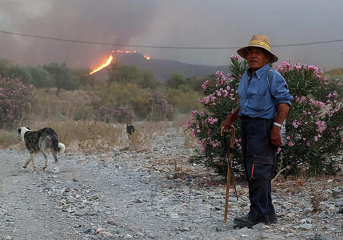 Almería amanece con un hilo de esperanza en Los Gallardos con los medios aéreos de vuelta contra el fuego