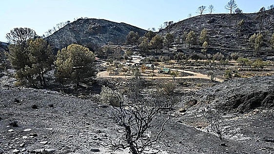 El incendio de Los Gallardos da un respiro para conseguir su estabilización en las próximas horas