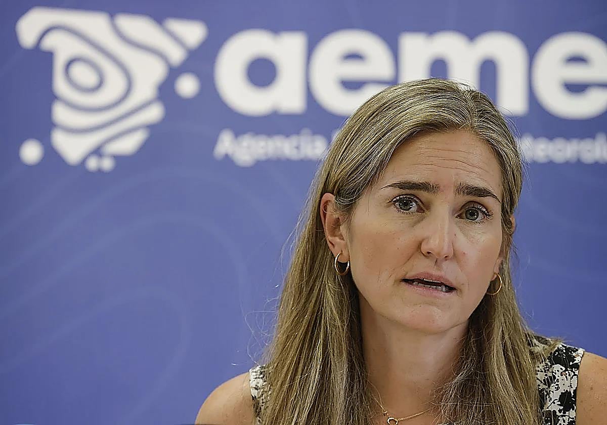 Un decreto obligará a «marcar» las viviendas de las zonas inundables antes de una compraventa