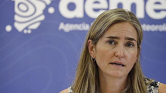 Un decreto obligará a «marcar» las viviendas de las zonas inundables antes de una compraventa