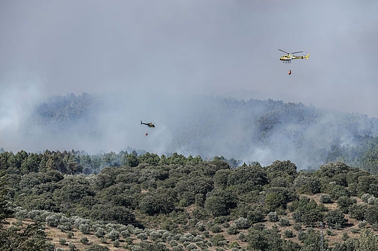 Siete municipios evacuados por un incendio forestal que afecta a 2.000 hectáreas en Guadalajara