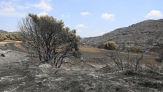 Estabilizado el incendio de Zaragoza y se comenzará a preparar el regreso de las personas desalojadas