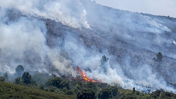 El incendio de Guadalajara supera las 32.000 hectáreas, aunque las llamas avanzan más lentamente
