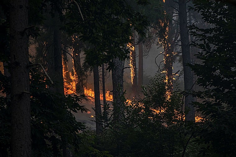 Directo | Sigue la evolución de los incendios forestales en Madrid, Ávila y Castellón