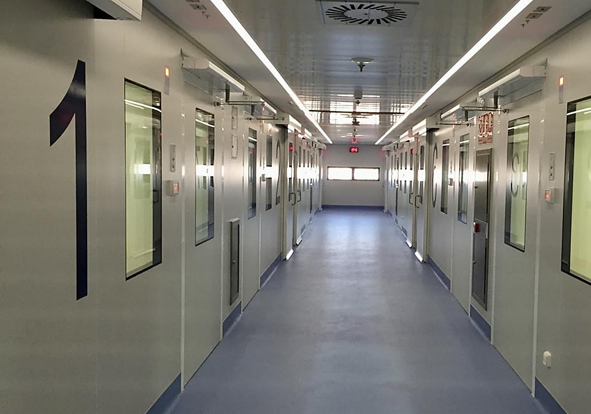 Detectado un caso de fiebre hemorrágica de Crimea-Congo en Ciudad Real