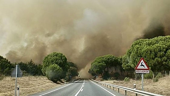 Detenidos dos hombres como presuntos autores del incendio de Almorox, Toledo
