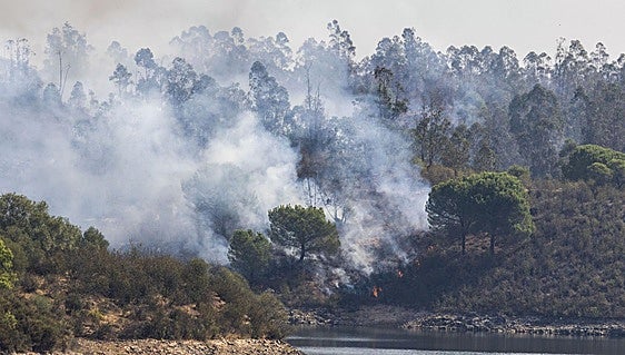 La «evolución favorable» de la zona norte del incendio de Huelva permite la vuelta a casa de 60 personas
