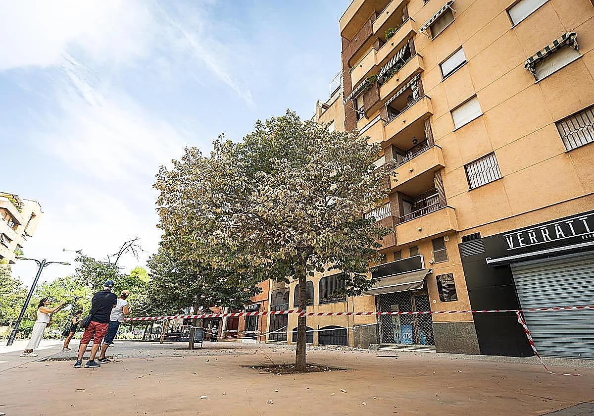 Granada trata de recuperar la normalidad mientras gestiona más de 3.000 incidencias derivadas de los terremotos