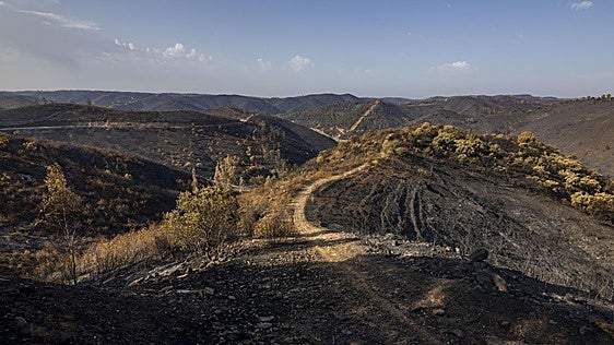 El Plan Infoca da por controlado el incendio de Huelva tras dos semanas de lucha contra el fuego