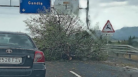 Reventones térmicos con vientos de 149 kilómetros causan daños materiales en Valencia