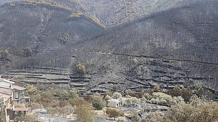 El Infoex rebaja la superficie quemada por el fuego en Las Hurdes a 3.765 hectáreas