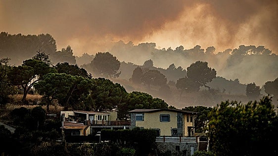 Estabilizado el incendio de Barcelona, que ha quemado más de 45 hectáreas