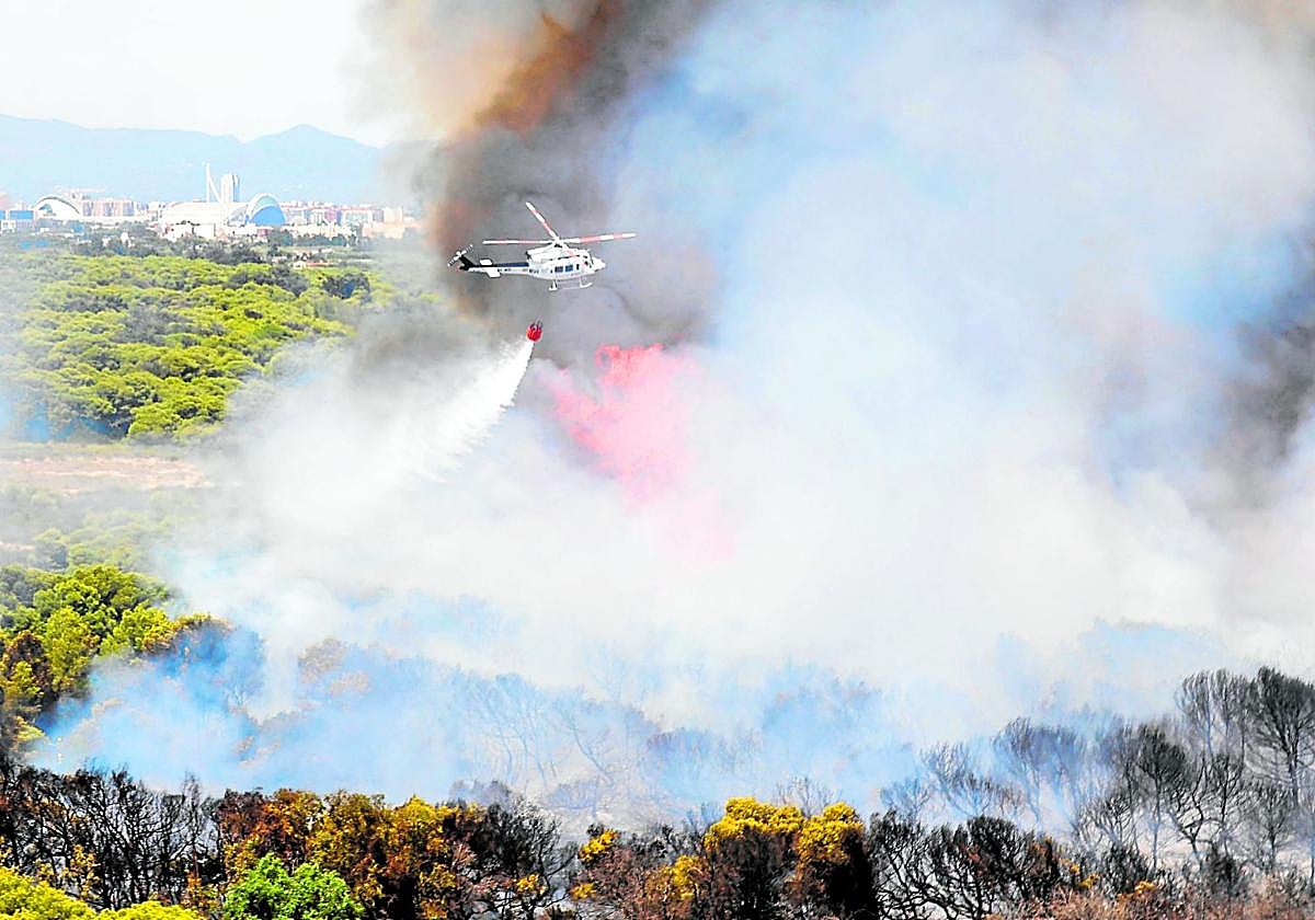 El peor incendio en la historia de El Saler