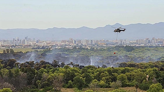 El Saler despierta de su pesadilla mientras sigue la búsqueda del pirómano