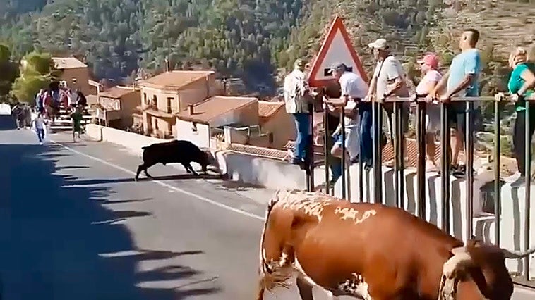Una mujer de 64 años muere corneada por un toro en un encierro en Albacete